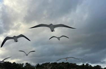 Los Patios Home Suites - Foto 127