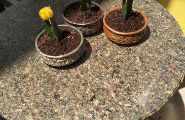 Vitzileos Studios - Foto 12