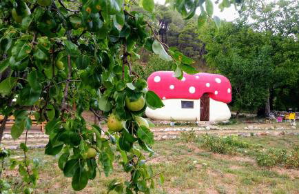 Mushroom house - Sleeps 4 - Pets Ok - Parking - Foto 1