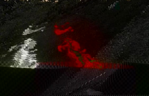 Glamping in Stunning Bell Tent in Bohemia - Photo 6