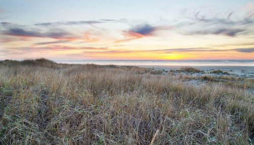 Merganser Condo - Foto 3