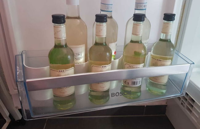 Large 2 Bedroom Apartment Lake Constance - Foto 21