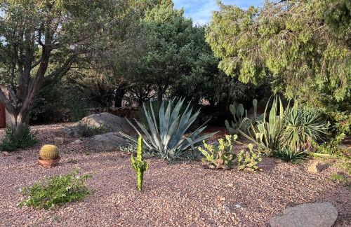 Villa Adele, con piscina a 700 mt dal mare - Foto 73