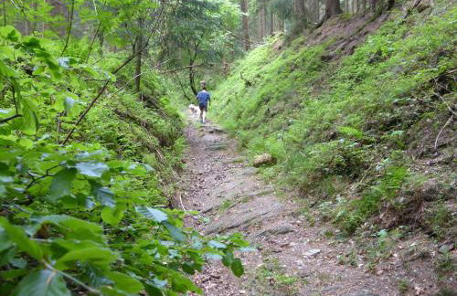 Küken Winterberg - Foto 57