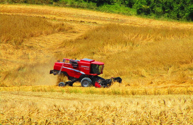 Agriturismo Bonello - Photo 48