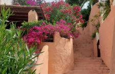 casa Evelyn Capo Blu - Foto 13