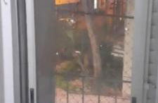 Apartamento inteiro, completo para até 8 pessoas por locação Não é divido com outros pessoas apenas significa que vc pode locar que tem capacidade para até 8 pessoas mas a locação sempre é individual de quem locou Check in possível nas 24 hrs - Foto 2