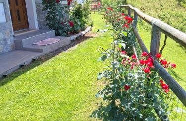 Il Borghetto di Pedevilla casa in montagna - Foto 4