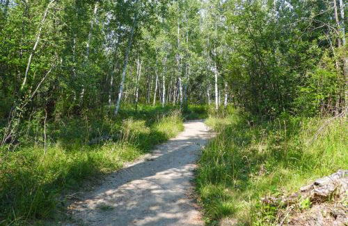 Bozeman Home with Deck Walk to Fishing, Hot Springs - Foto 43