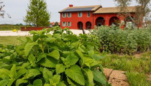 Agriturismo La Rosarnetta - Foto 5, Garden