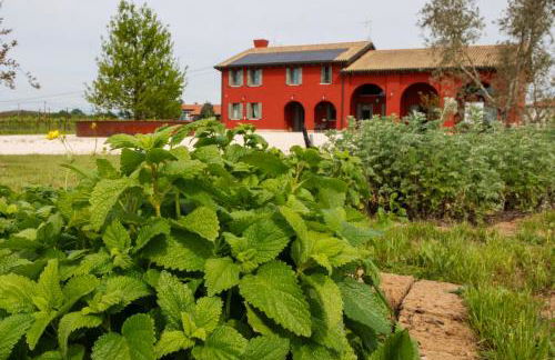 Agriturismo La Rosarnetta - Foto 5