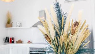 XEROLITHIA I - Foto 3