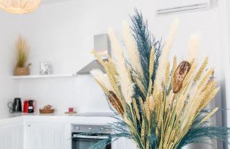 XEROLITHIA I - Foto 3