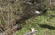 Willowherb and Foxglove Cottages Hawick - Photo 23