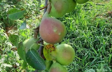 Byron House - Photo 12