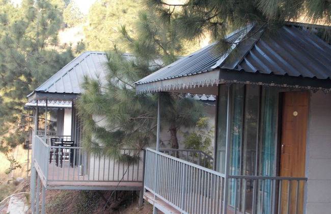 Erica Hills Resort Kasauli - Foto 6