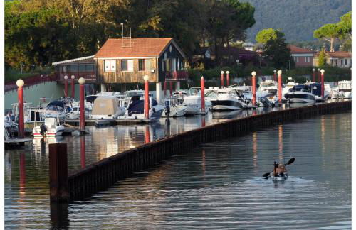 Michelangelo rta - Foto 49