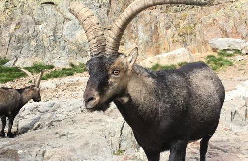 Ermita de Gredos - Foto 51