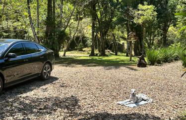 Casa de campo com cachoeira no quintal - Foto 25