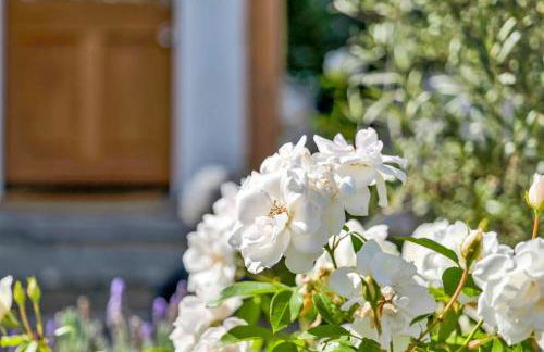 Modern Cottage, Hot Tub, Bistro Patio, Putting Green, Walk to All! - Foto 15