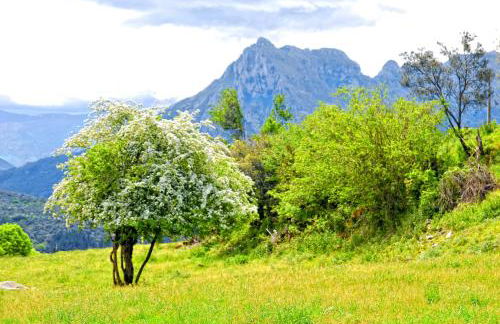 Finca Artienza - Foto 62
