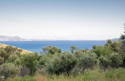 Mesogi Villas, brand new modern, stylish villas, private pool, seaviews - Photo 50