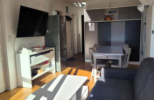 Lumineux 2 pièces vue montagne au pied des pistes avec parking privé - Foto 6