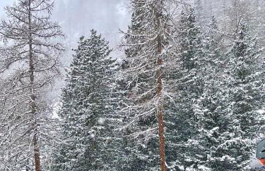 Alpine Vista Villa Hardaker 4 bedrooms Torgnon - Foto 39