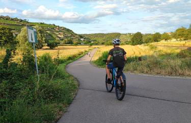 Weinberghaus - Wohnen im Weinberg in der Toskana des Nordens - Foto 51