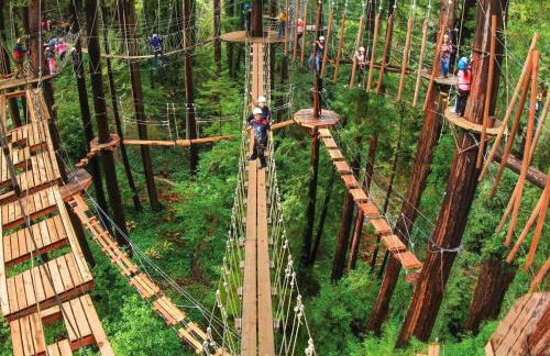Redwood Nook - 8 min walk to redwood state park - Foto 25