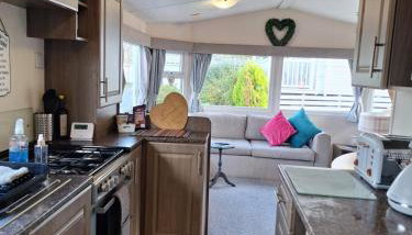 The Hummingbird - Photo 4