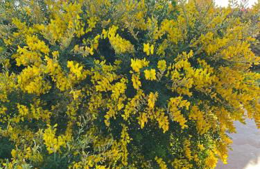 La casita de la Luz - Foto 41