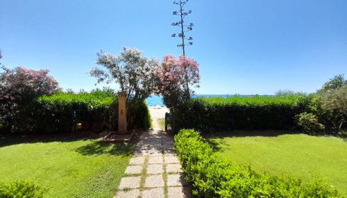 Vista Torre 2 - Foto 4, Garden, Garden view