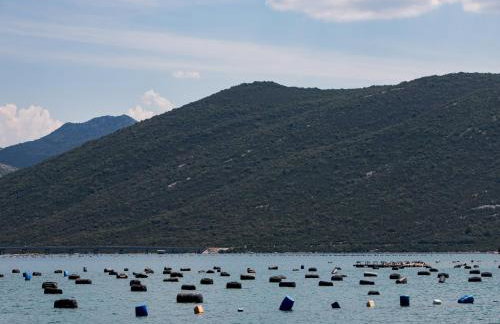 Holiday Home Monika - Two Bedroom Holiday Home with Terrace and Sea View - Photo 33