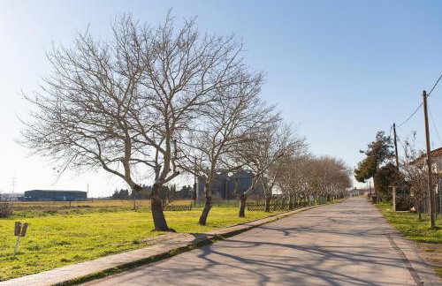 Sofia's Garden View - Photo 13