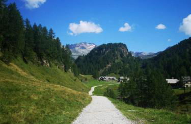 La Beccaccia - Photo 46