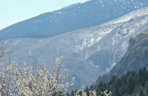 Arli House - Photo 39