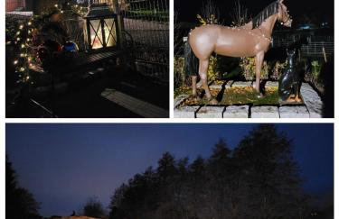 Ferienhaus auf dem Lusitanohof Jäger - Foto 1