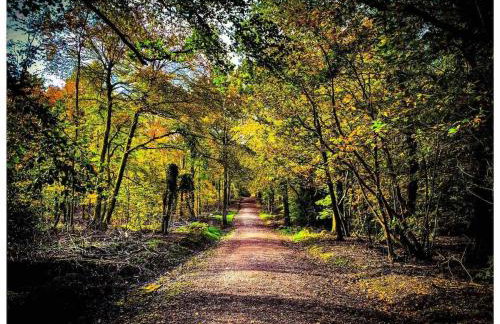 Hilly Haven & Luxury Wagon in the Forest of Dean - Foto 9