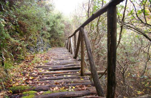 Country House Spitaki Λόχος - Foto 25