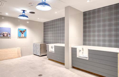 Pentagon City 1br w doorman gym nr shopping WDC-695 - Foto 45