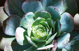 La casa de La Cartita - Foto 21