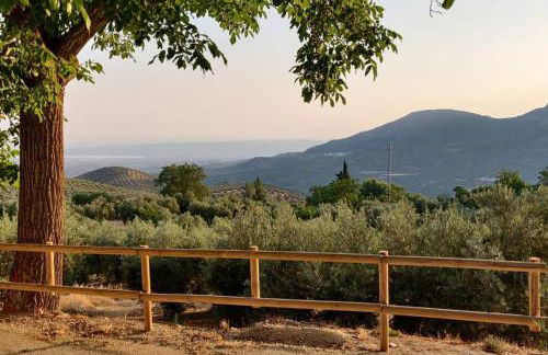 Alojamiento Encarnación - Foto 25