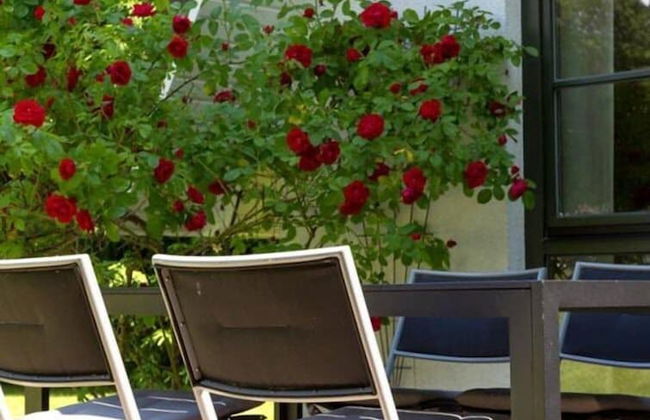 Das Haus Am See - Photo 40