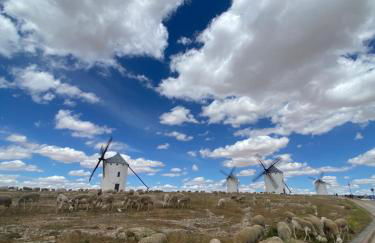 Casa La Maquica - Foto 8