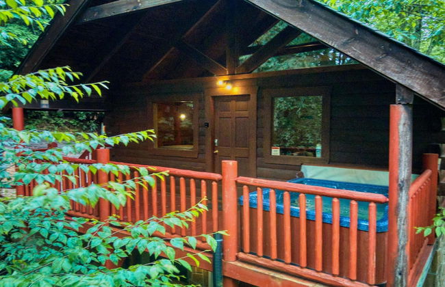 Mountain Laurel - Foto 18