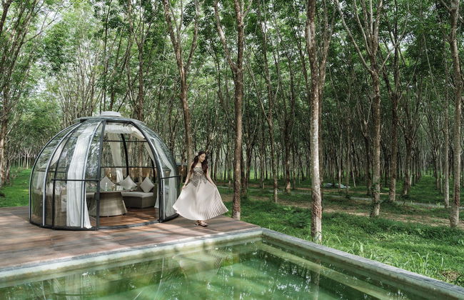 Timber Society Boutique Hideaway - Photo 21