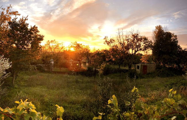 Room in Studio - Enchanting Escapade in Krsuli - Foto 9