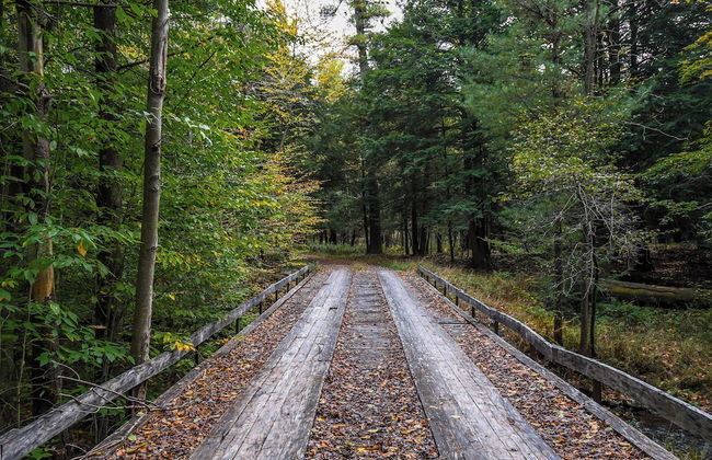 Dream Big by Taylor Made Deep Creek - Photo 16