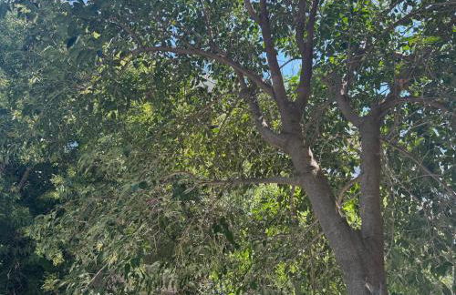 Luxury Apartment Bedro - Foto 12